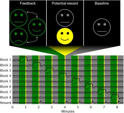 Reinforcement and Punishment Shape the Learning Dynamics in fMRI Neurofeedback